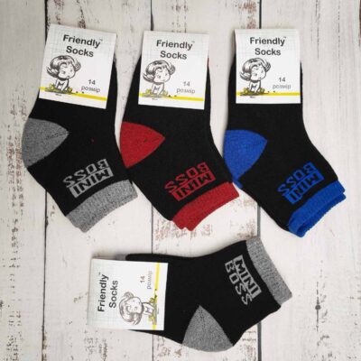 Шкарпетки дитячі Friendly Socks 3031014-001 сер. махра різні кольори р.14 (уп.12 пар)