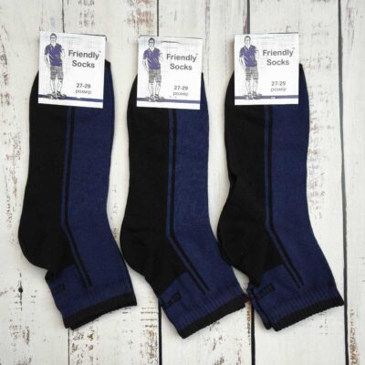 Шкарпетки чоловічі Friendly Socks 101827-003-4 кор. стрейч сині р.27-29 (уп.12 пар)