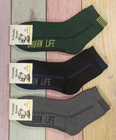 Шкарпетки дитячі Friendly Socks 3031022-007 сер. махра різні кольори р.22 (уп.12 пар)