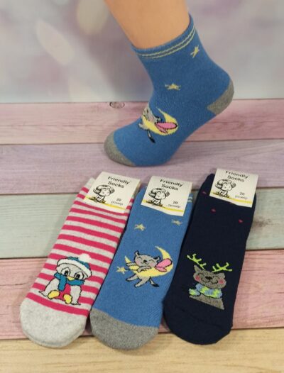 Шкарпетки дитячі Friendly Socks 4031020-002 сер. махра різні кольори р.20 (уп.12 пар)