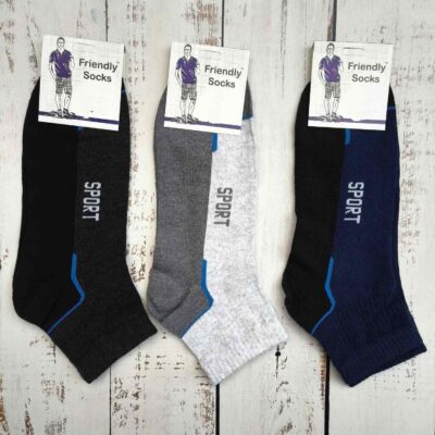 Шкарпетки чоловічі Friendly Socks 101827-004-2 кор. стрейч різні кольори р.27-29 (уп.12 пар)