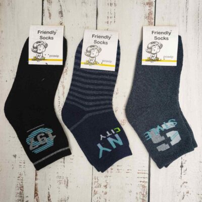 Шкарпетки дитячі Friendly Socks 3031018-003 сер. махра різні кольори р.18 (уп.12 пар)