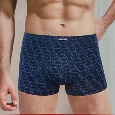 Труси боксери чоловічі Indena 81282 різні кольори норма lycra р.L-4XL  (уп.12 шт)