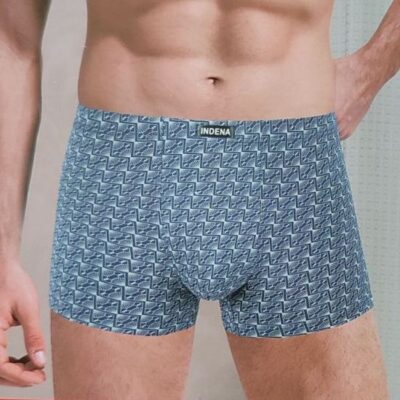 Труси боксери чоловічі Indena 81218 різні кольори норма lycra р.L-4XL  (уп.12 шт)