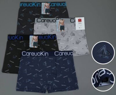 Труси боксери чоловічі CareuoKin 5555-A різні кольори норма молоко р.XL-2XL-3XL (уп.12 шт)