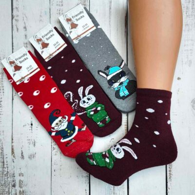 Шкарпетки жіночі Friendly Socks 2031223-017 сер. махра різні кольори р.23-25 (уп.12 пар)