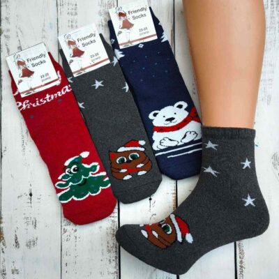 Шкарпетки жіночі Friendly Socks 2031223-012 сер. махра різні кольори р.23-25 (уп.12 пар)