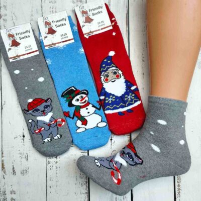Шкарпетки жіночі Friendly Socks 2031223-014 сер. махра різні кольори р.23-25 (уп.12 пар)