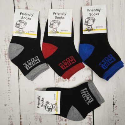 Шкарпетки дитячі Friendly Socks 3031016-001 сер. махра різні кольори р.16 (уп.12 пар)
