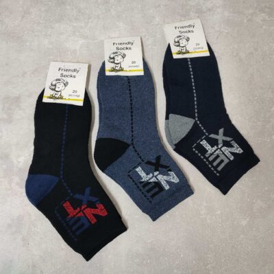 Шкарпетки дитячі Friendly Socks 3031020-006 сер. махра різні кольори р.20 (уп.12 пар)