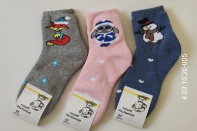 Шкарпетки дитячі Friendly Socks 4031022-005 сер. махра різні кольори р.22 (уп.12 пар)
