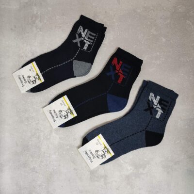 Шкарпетки дитячі Friendly Socks 3031022-006 сер. махра різні кольори р.22 (уп.12 пар)