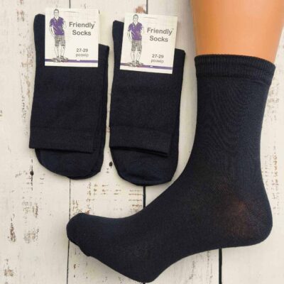 Шкарпетки чоловічі Friendly Socks 1011527-001-04 вис. стрейч сині р.27-29 (уп.12 пар)