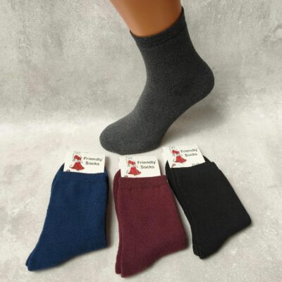 Шкарпетки жіночі Friendly Socks 2031223-011 сер. махра різні кольори р.23-25 (уп.10 пар)