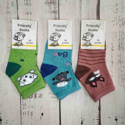 Шкарпетки дитячі Friendly Socks 4011014-021 сер. стрейч різні кольори р.14 (уп.12 пар)