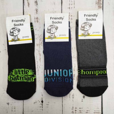 Шкарпетки дитячі Friendly Socks 3011016-005 сер. стрейч різні кольори р.16 (уп.12 пар)