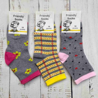 Шкарпетки дитячі Friendly Socks 4011018-022 сер. стрейч різні кольори р.18 (уп.12 пар)