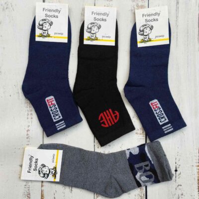 Шкарпетки дитячі Friendly Socks 3011020-010 сер. стрейч різні кольори р.20 (уп.12 пар)