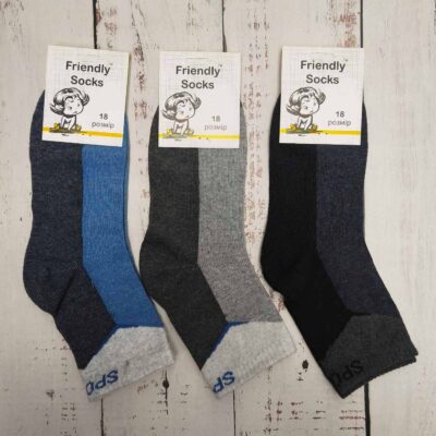 Шкарпетки дитячі Friendly Socks 3011018-015 сер. стрейч різні кольори р.18 (уп.12 пар)