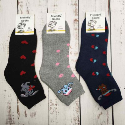 Шкарпетки дитячі Friendly Socks 4031022-008 сер. махра різні кольори р.22 (уп.12 пар)