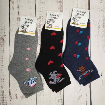 Шкарпетки дитячі Friendly Socks 4031022-008 сер. махра різні кольори р.22 (уп.12 пар)