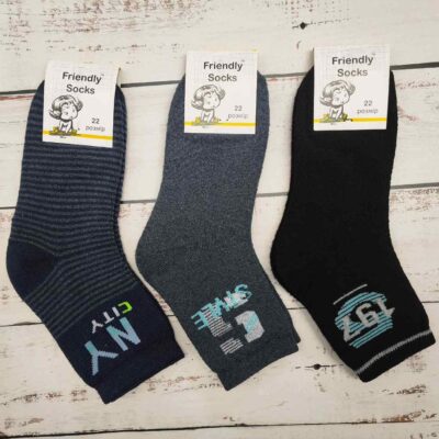 Шкарпетки дитячі Friendly Socks 3031022-003 сер. махра різні кольори р.22 (уп.12 пар)