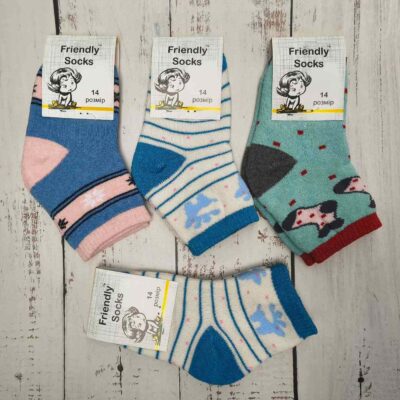 Шкарпетки дитячі Friendly Socks 4031014-003 сер. махра різні кольори р.14 (уп.12 пар)