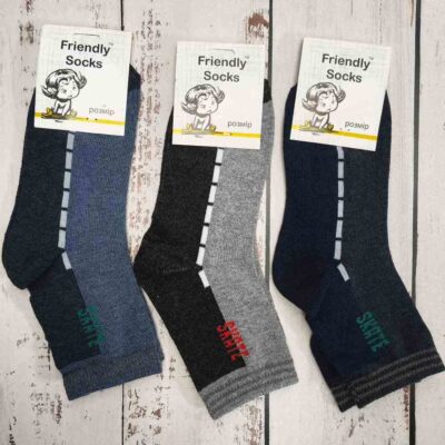 Шкарпетки дитячі Friendly Socks 3011020-006 сер. стрейч різні кольори р.20 (уп.12 пар)
