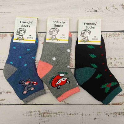Шкарпетки дитячі Friendly Socks 4031016-006 сер. махра різні кольори р.16 (уп.12 пар)
