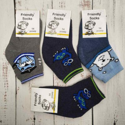 Шкарпетки дитячі Friendly Socks 3031014-003 сер. махра різні кольори р.14 (уп.12 пар)