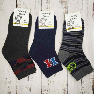 Шкарпетки дитячі Friendly Socks 3031020-002 сер. махра різні кольори р.20 (уп.12 пар)
