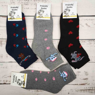 Шкарпетки дитячі Friendly Socks 4031020-008 сер. махра різні кольори р.20 (уп.12 пар)